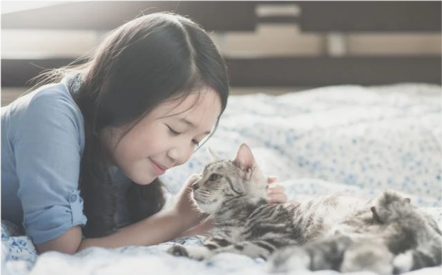 盘点7个很“忠心”的猫咪，养到就是赚到！
