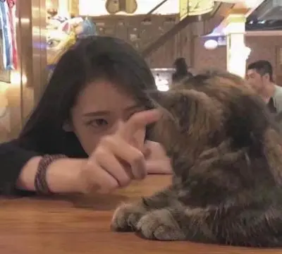 为什么女生，更爱养猫不养狗？这几点大概是原因！