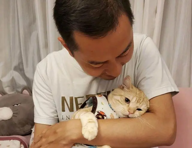 女主捡到“断脚”流浪猫，一年后变超美猫，却抢走她的老公！