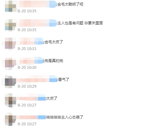 崩溃！主人将狗狗关在阳台 金毛偷偷打开水龙头阳台成泳池