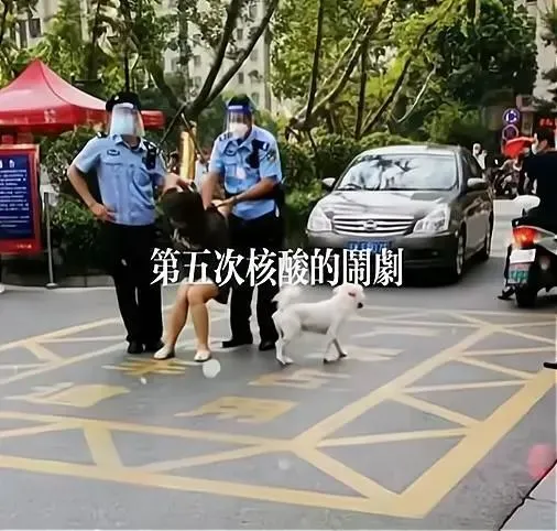又来了！扬州女子测核酸带狗不拴绳，不听劝告还袭警，比徽州宴老板娘更狂