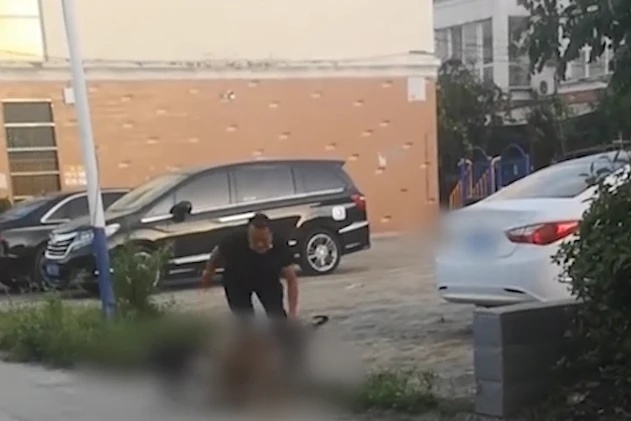 看着揪心！河南4条未牵绳大狗撕咬小狗5分钟致死，狗主人拦不住