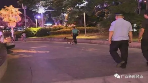 柳州一老人被狼狗扑倒受伤，狗主人：自家狗虽多次伤人，但非它本意