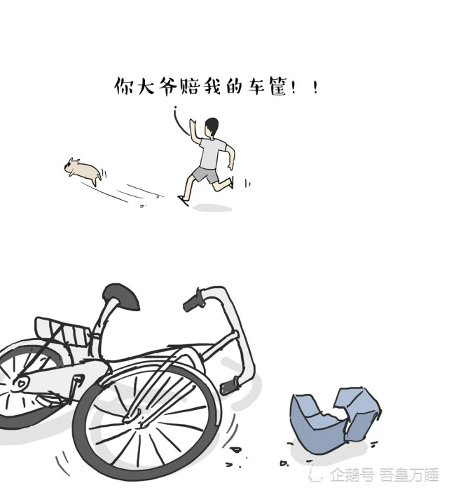 吾皇小课堂开课啦！今天教汪星人如何制服温顺的两脚兽……