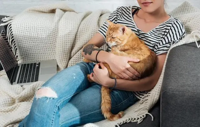 你家猫是真的爱你，还是混口饭吃？看它是否愿意做这几件事！