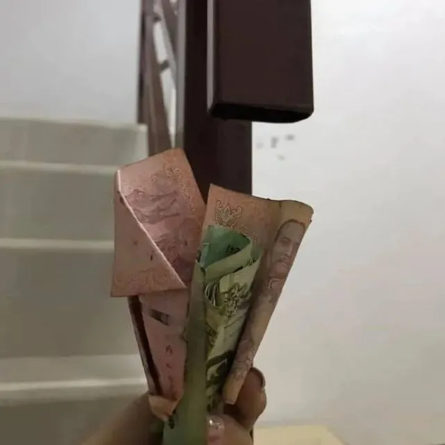 盘点猫咪自带的宝藏技能，这就是强者的世界吗？