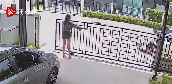 泰国一宠物乌龟反复推开大门逃跑 女主人：惯犯了