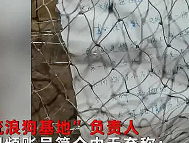 辽宁发生一件事，就在大连这地方，真相是这样