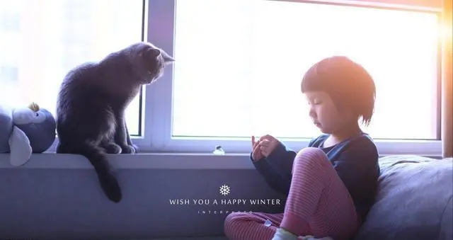 猫咪一直盯着你看，可不是因为你漂亮，而是这5个原因
