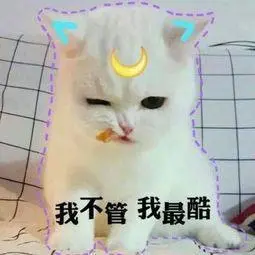 猫咪名字可分7类，第3类主人起名字时，根本没走心！