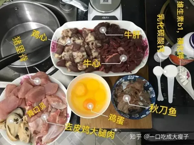 跟了个不会DIY大别野的铲屎官，整个小猫咪都输麻了！