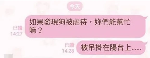 阳台惊现狗狗遭吊挂虐待，得知真相后……当场傻眼！