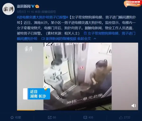 女子带宠物狗乘电梯，男子进门瞬间遭狗扑咬