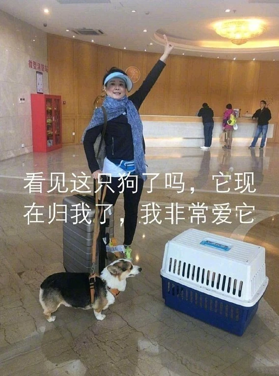 两夫妻离婚，不争财产，争狗？