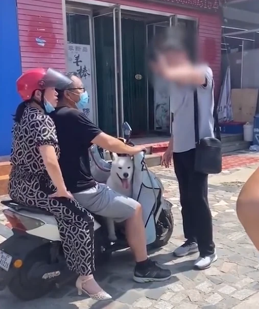山东一男子狗狗丢失，看到路人的狗很相似，便将其拦下要去做DNA