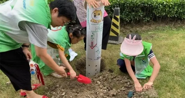 这种“蚯蚓塔”专收宠物粪便，你家小区有没有？