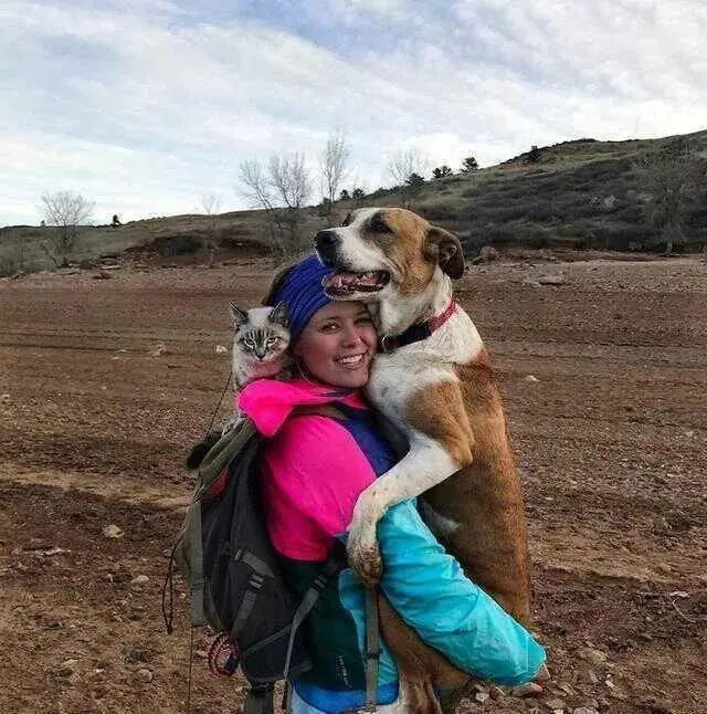 狗狗和猫咪一起旅行，看了忍不住羡慕：简直就是神仙组合呀