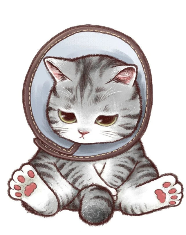可爱猫猫头像雷达猫系列 第一百六十四弹