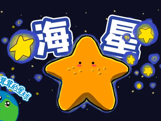 海星是感人密友还是恐怖异形？