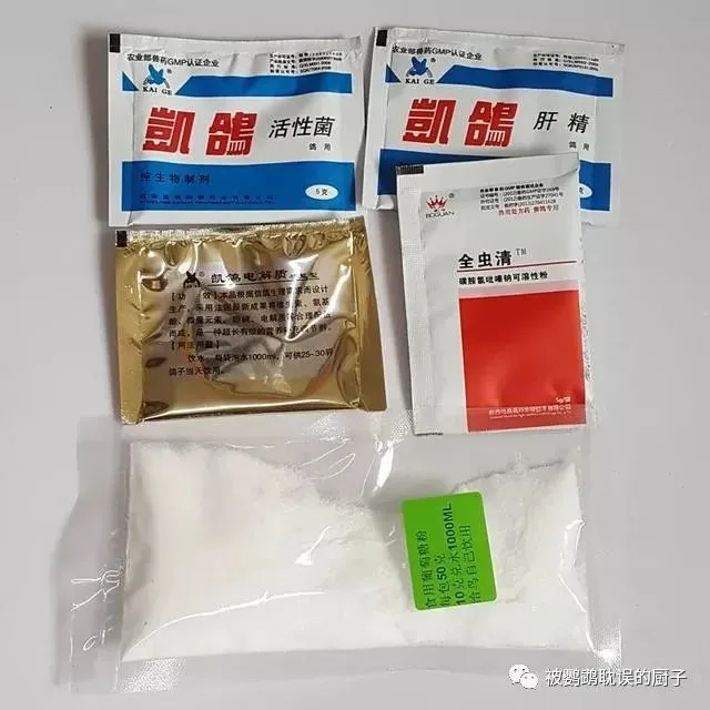 新手饲养鹦鹉常备这些药，没经验也不怕，养出的鹦鹉健康又活泼