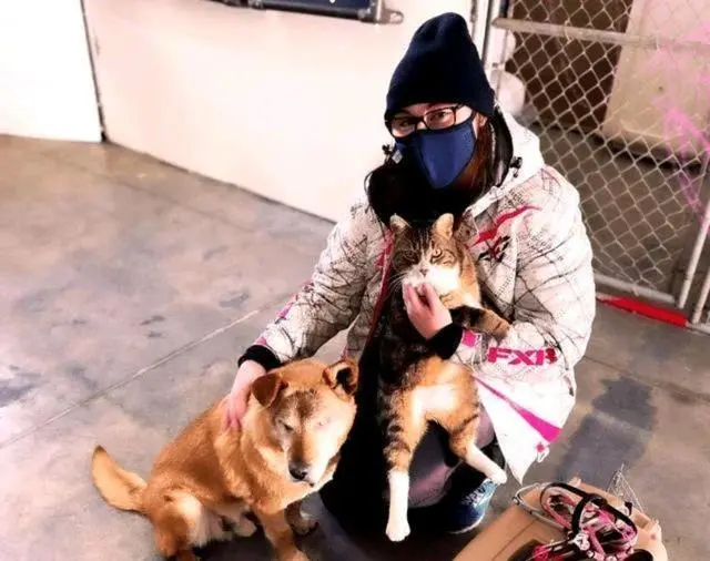 猫狗8年相依为命，狗狗因失明被赶出家门，猫咪念旧情也跟着离家