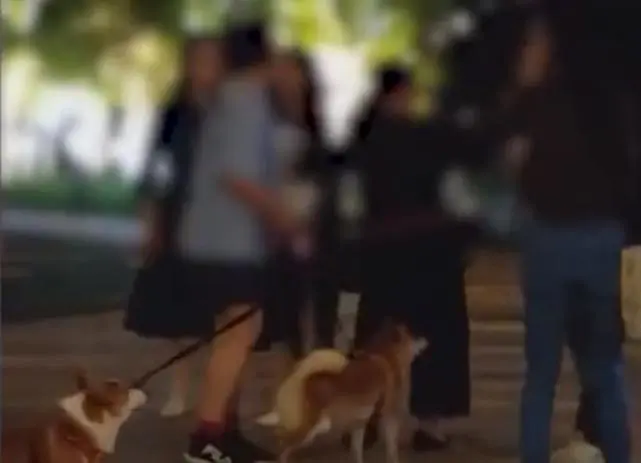 上海一女子遛狗没拴绳吓哭孩子，劝架阿姨一句话让孩子父亲怒了！