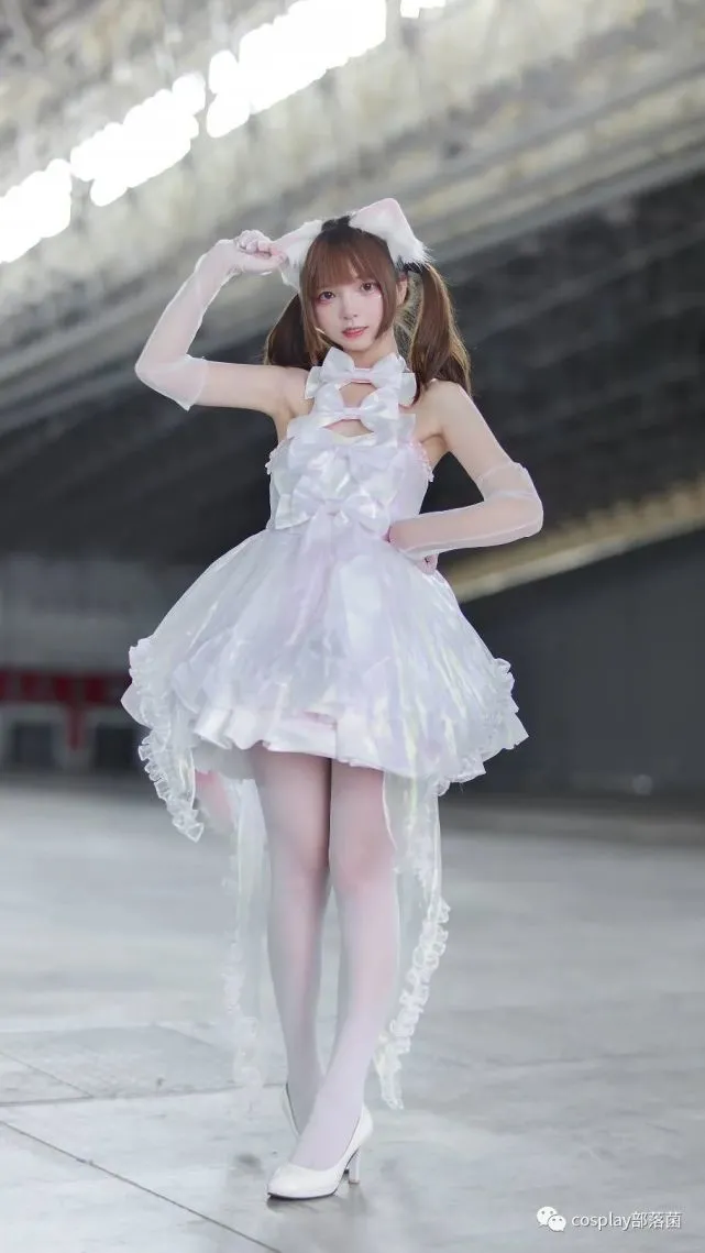 Lolita：闪闪发光的小猫咪，你会喜欢吗？