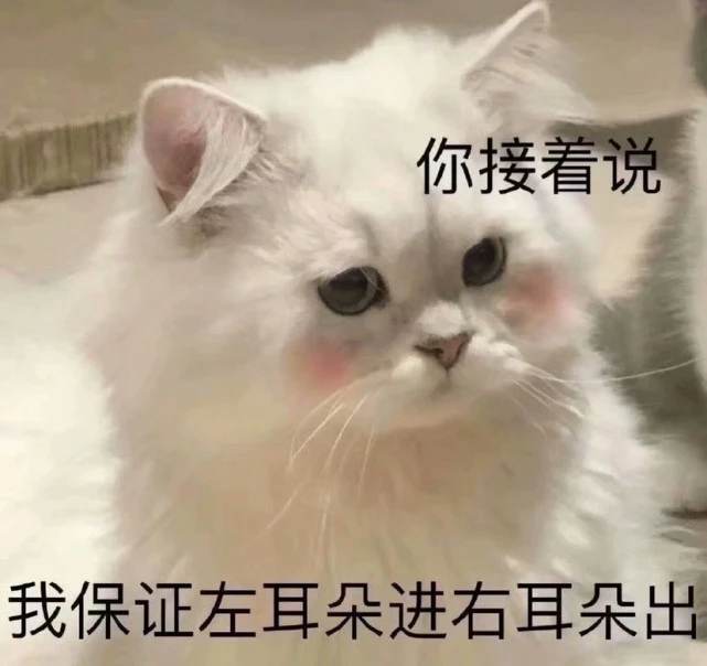 谁不爱猫猫表情呢