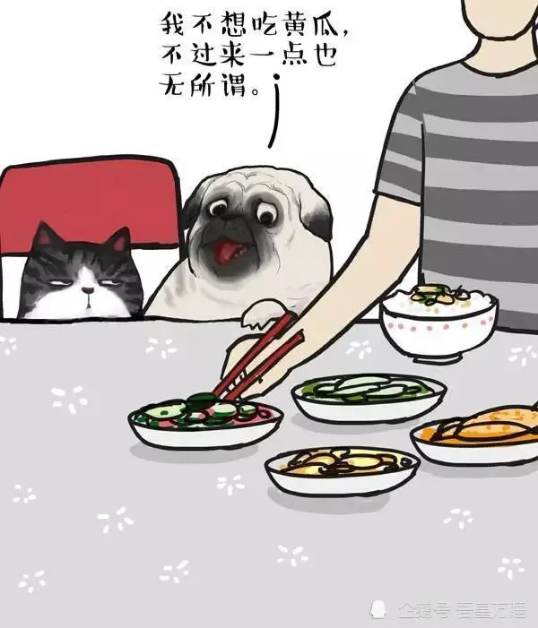 本与你无关，你却偏自恋！