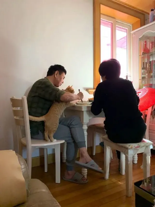 这不比养个娃有意思多了？毛孩子好可爱谁能抵挡！