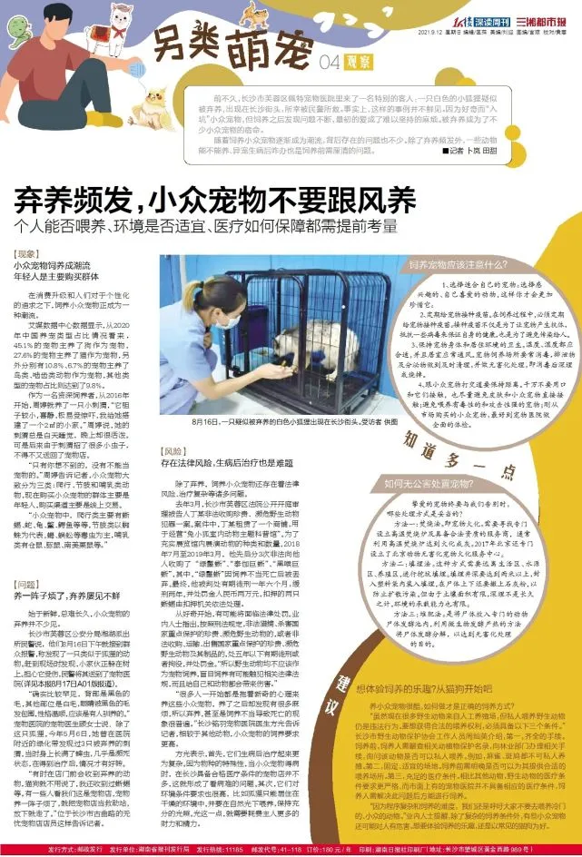 观察丨弃养频发，小众宠物不要跟风养