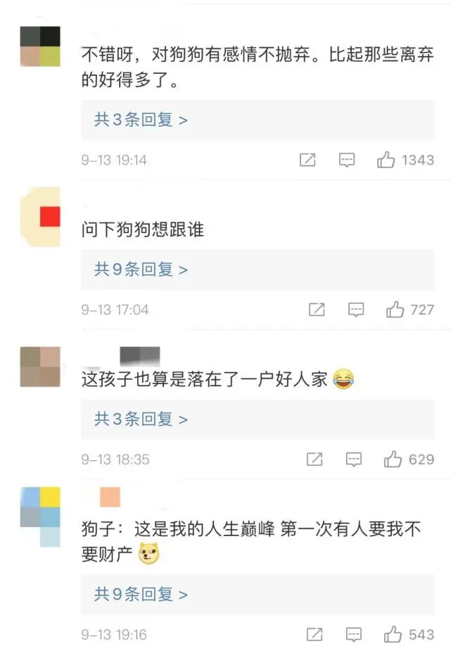 江苏一对夫妻离婚不争财产争宠物狗，网友：狗这辈子都没想过会被争着要