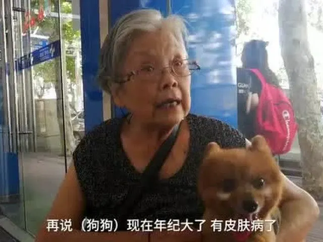 15岁的狗，你还爱吗？