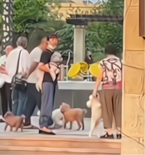 辽宁大连，小区大爷大妈遛狗不拴绳，被人吐槽后反骂人