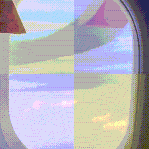 旅行可以带狗狗坐飞机，乘地铁…我国这些城市的暖心政策，让人拍手叫好！