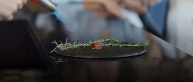 宠物细胞培养肉公司获千万美元融资，曾销售植物性狗粮自称收入暴涨
