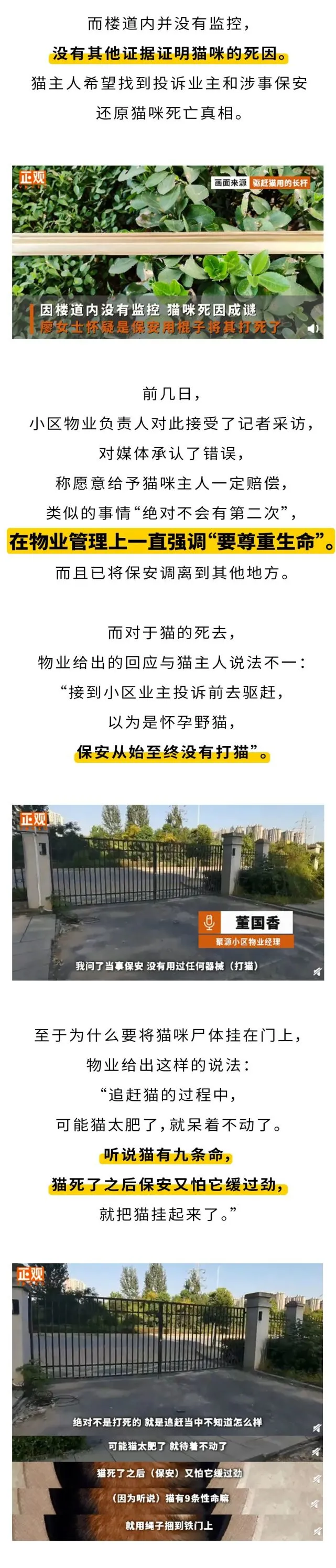 宠物猫死后被吊尸示众，物业道歉，这就结束了？