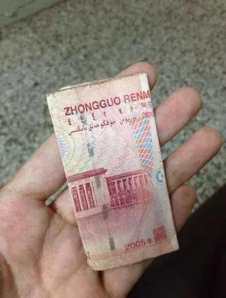 金毛被人偷走失踪，几天后回来叼着张“纸”，主人看清后开心极了
