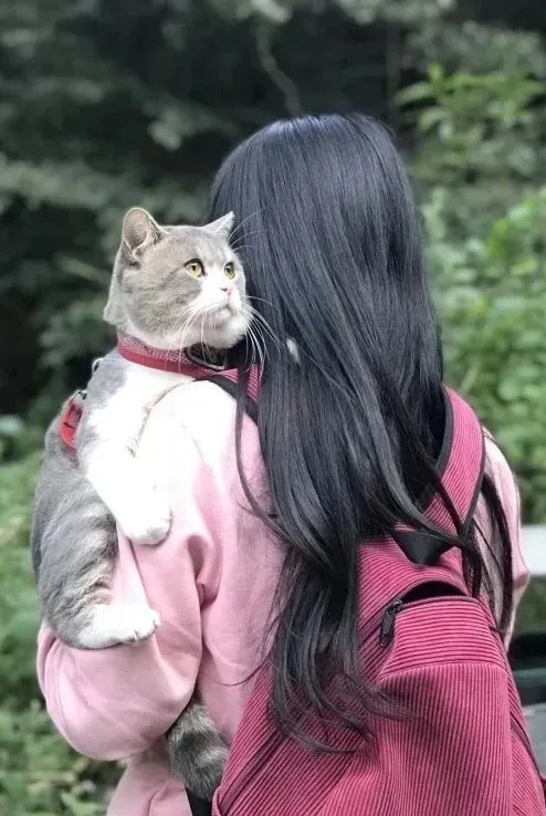 怎么才能知道猫咪是否喜欢你？