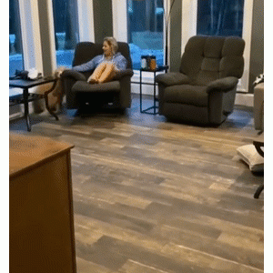 救命！我被我家狗打进了医院！