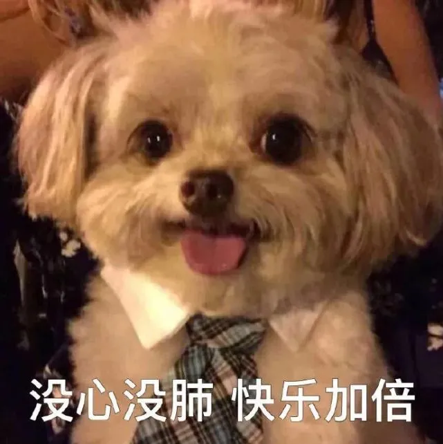我发出沉默的声音
