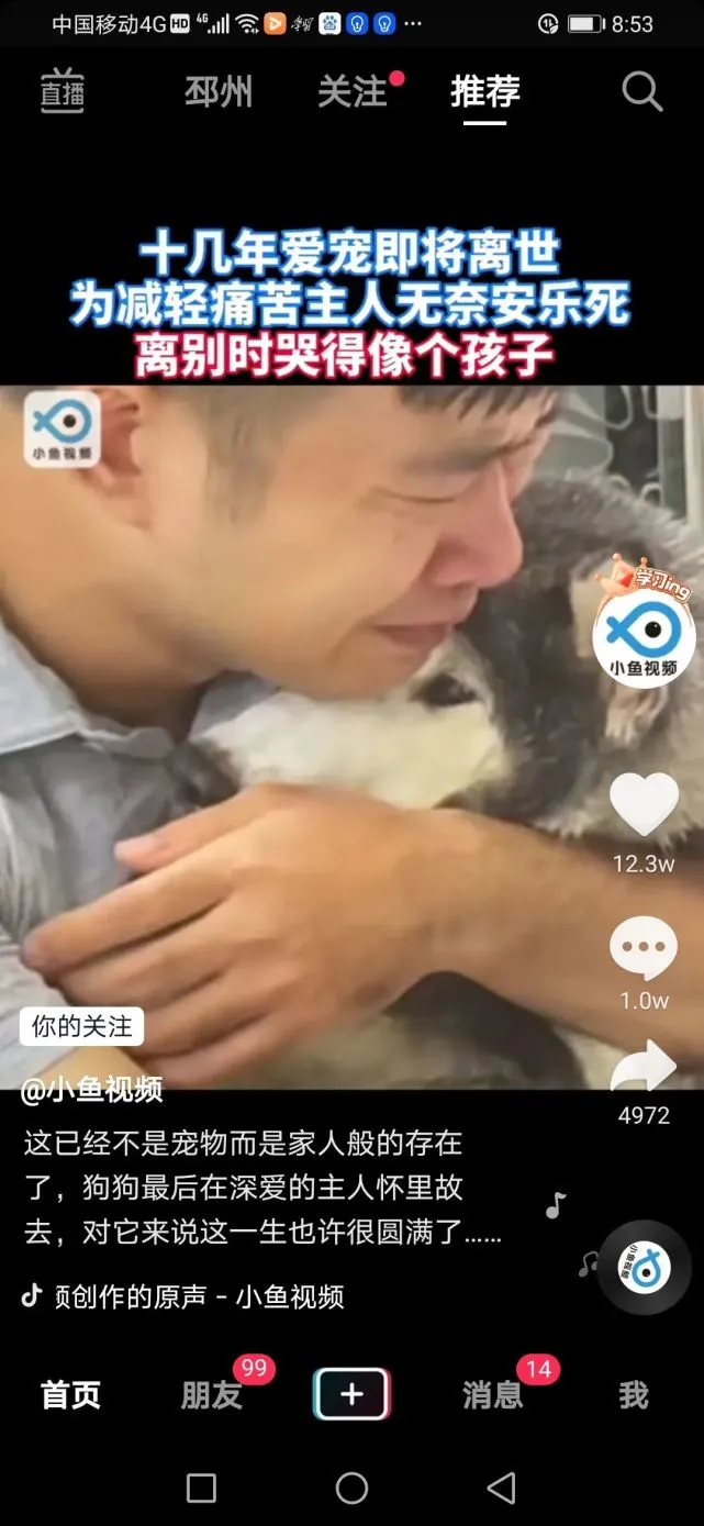 男子抱着安乐死的老狗悲痛欲绝，网友：狗生圆满了