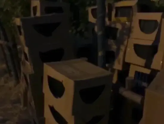 上海中通快递点旁丢弃许多盲盒，救助者哭泣拆箱带走，警方已介入