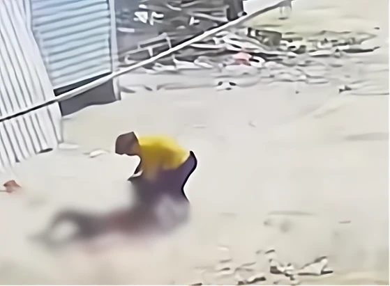 痛心！福建老人被恶犬咬伤身亡，恶犬仍被养着