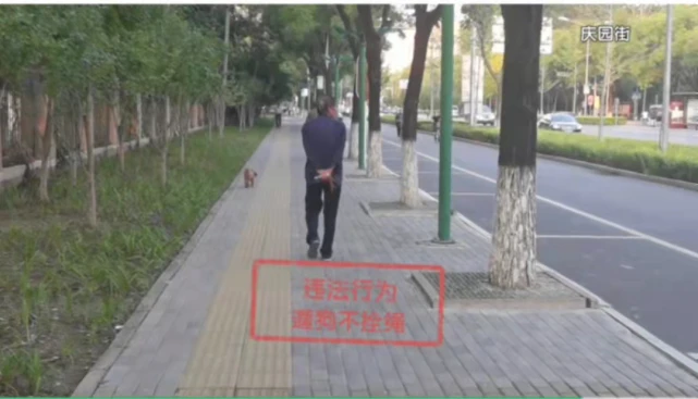 文明养犬知多少？切记做到“宠爱”有方～
