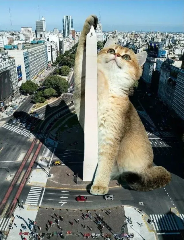 美国小哥“养”了一只巨猫，私生活照曝光后，引百万网友围观