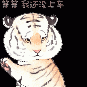 猫咪喜欢纸箱，那大猫呢？8种大型猫科动物实测，结果太可爱！