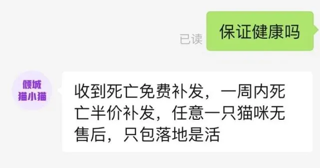 滴血的线上宠物盲盒：无售后，只包落地是活的