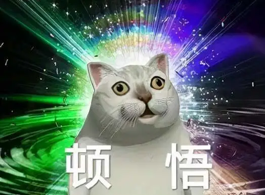 养宠小知识：小猫多久可以吃幼猫粮？