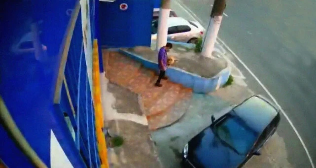 狗狗大着肚子跑兽医院求助，另一只狗狗紧随其后，在门口焦急等待